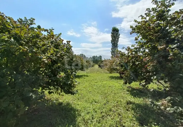 0 m² Obyekt / Ofis , Nabran