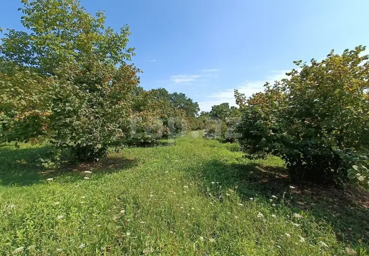 0 m² Obyekt / Ofis , Nabran