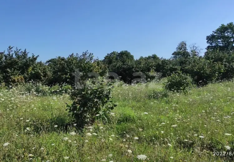 0 m² Obyekt / Ofis , Nabran