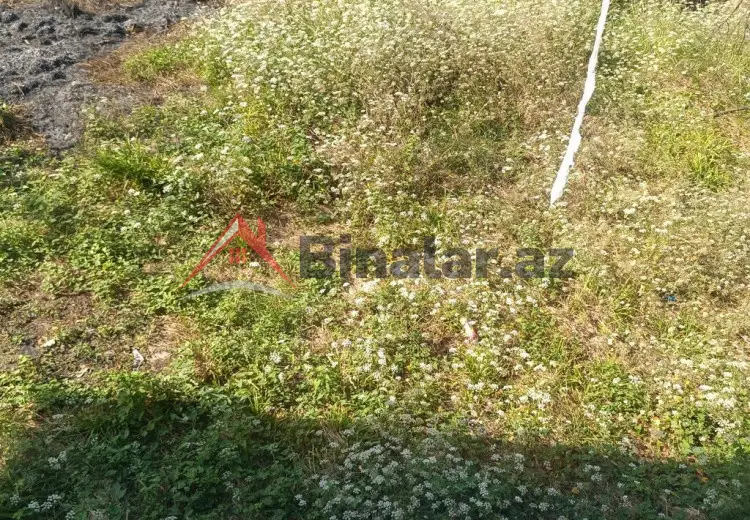 42 sot Torpaq Satılır, Lənkəran
