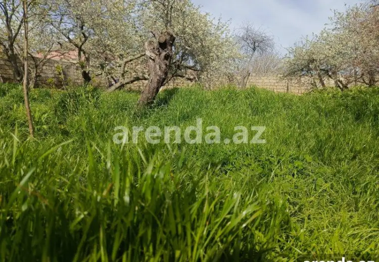 2 sot Torpaq Satılır, Suraxanı qəs., Suraxanı, Bakı