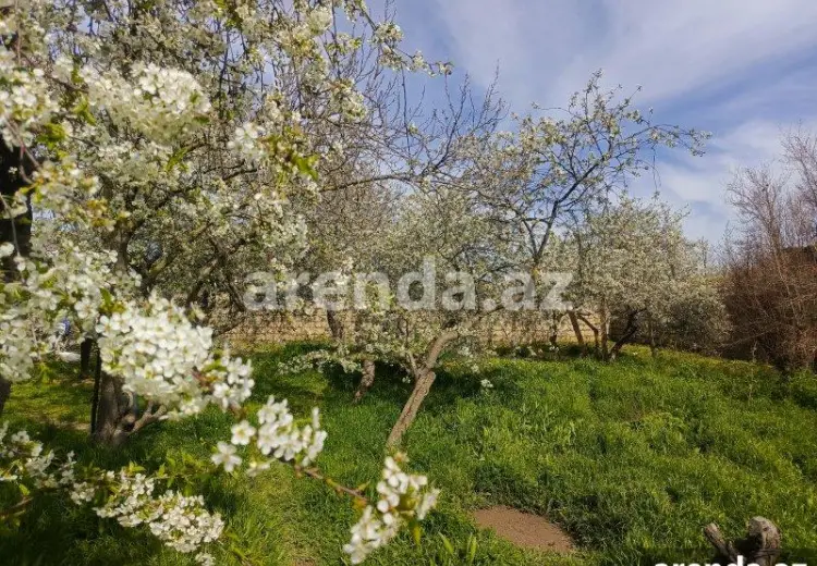 2 sot Torpaq Satılır, Suraxanı qəs., Suraxanı, Bakı