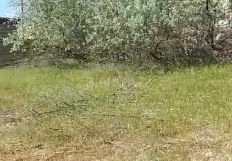 10 sot Torpaq Satılır, Novxanı, Abşeron
