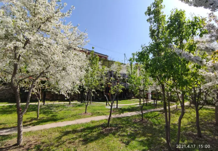 0 m² Obyekt / Ofis , Bakı