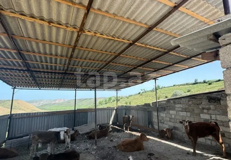 0 m² Obyekt / Ofis , Siyəzən