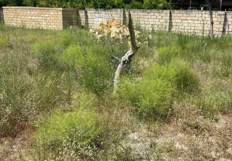 12 sot Torpaq Satılır, Novxanı, Abşeron