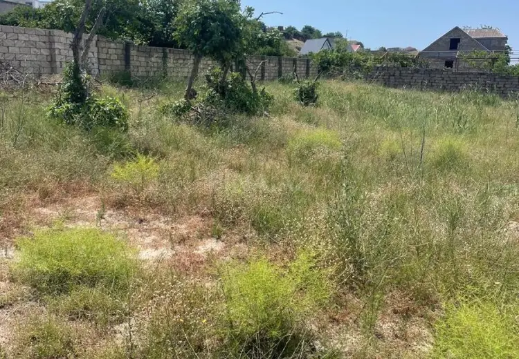 12 sot Torpaq Satılır, Novxanı, Abşeron