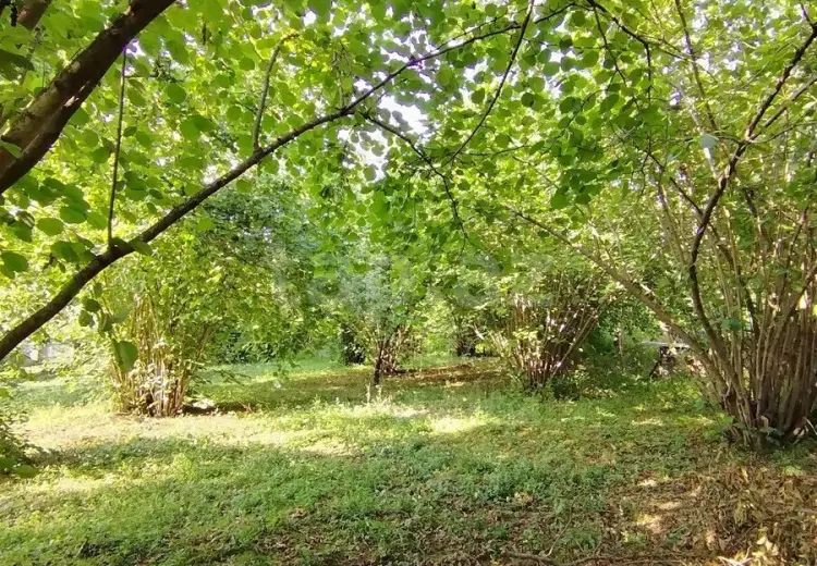 0 m² Obyekt / Ofis , Qəbələ
