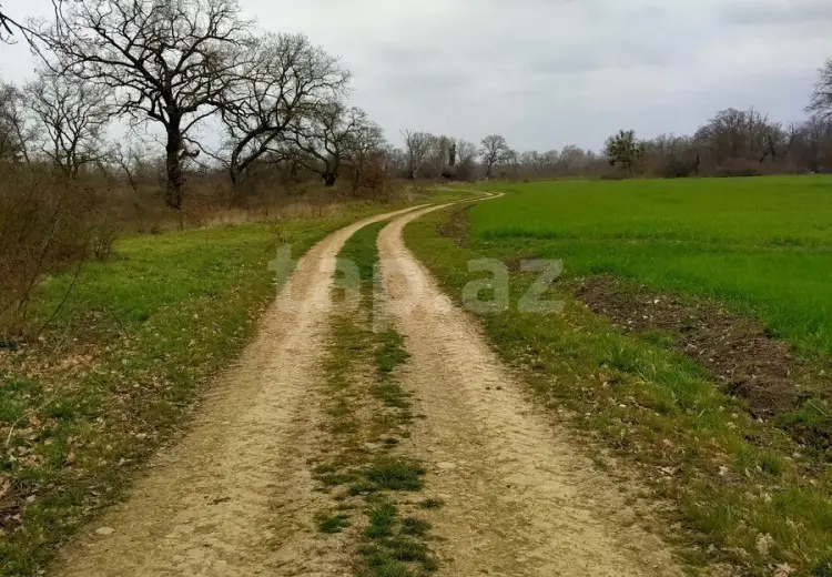 0 m² Obyekt / Ofis , Xaçmaz