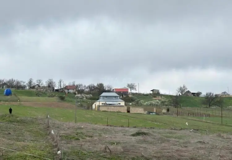 12 sot Torpaq Satılır, Şamaxı