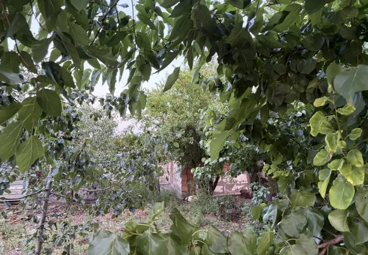 3 otaqlı mənzil , Gəncə