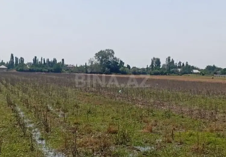 300 sot Torpaq Satılır, Tərtər