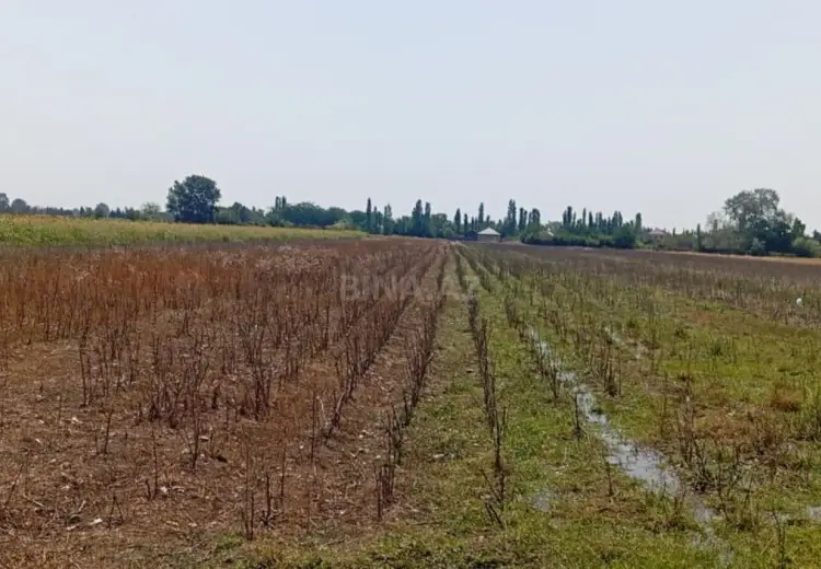 300 sot Torpaq Satılır, Tərtər