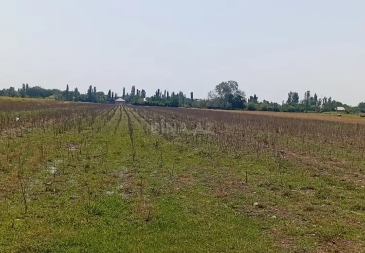 300 sot Torpaq Satılır, Tərtər