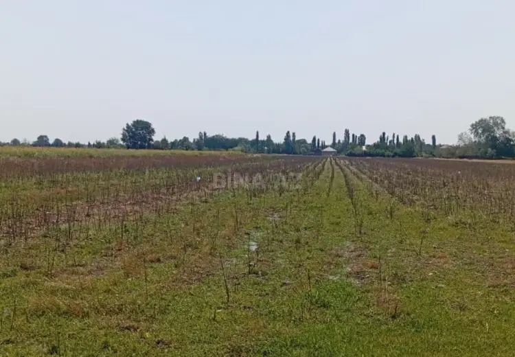 300 sot Torpaq Satılır, Tərtər