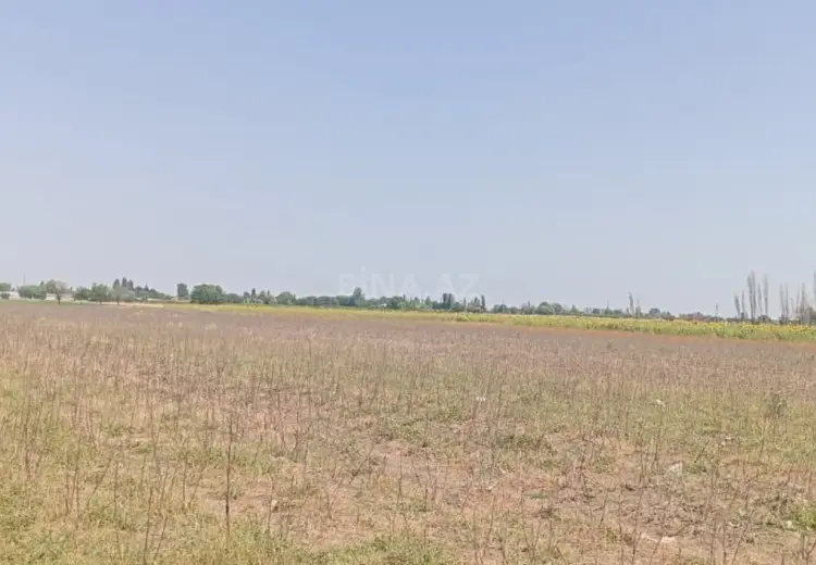 300 sot Torpaq Satılır, Tərtər