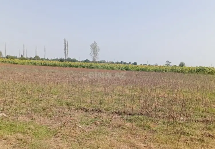 300 sot Torpaq Satılır, Tərtər