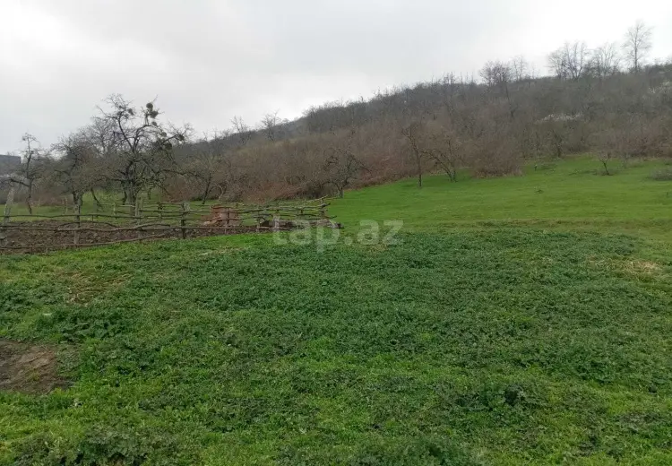 0 m² Obyekt / Ofis , Bakı