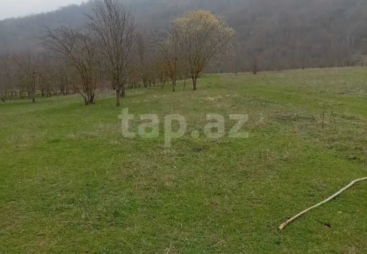 0 m² Obyekt / Ofis , Bakı