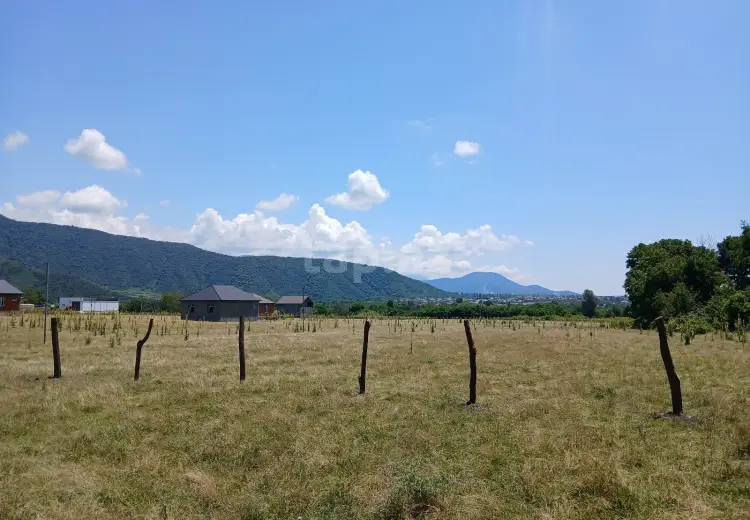 0 m² Obyekt / Ofis , Zaqatala