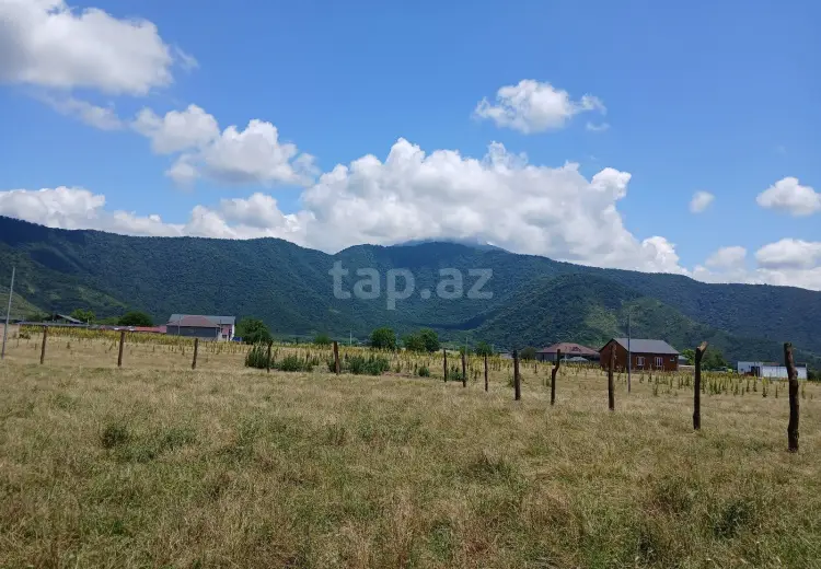 0 m² Obyekt / Ofis , Zaqatala
