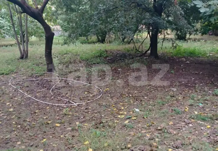 0 m² Obyekt / Ofis , Şəki