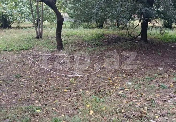 0 m² Obyekt / Ofis , Şəki