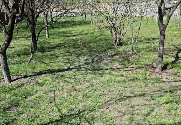 0 m² Obyekt / Ofis , Şəki