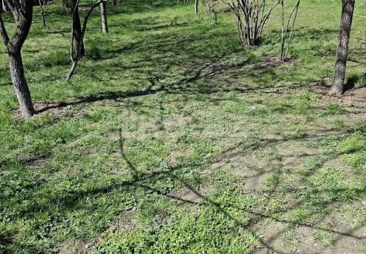 0 m² Obyekt / Ofis , Şəki