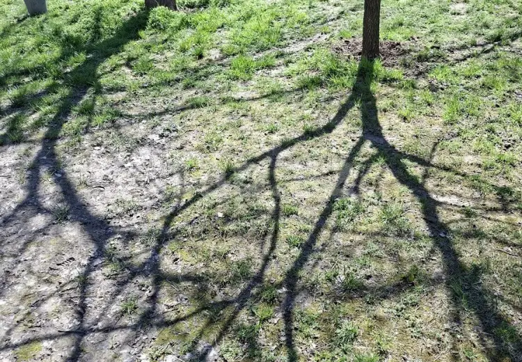 0 m² Obyekt / Ofis , Şəki