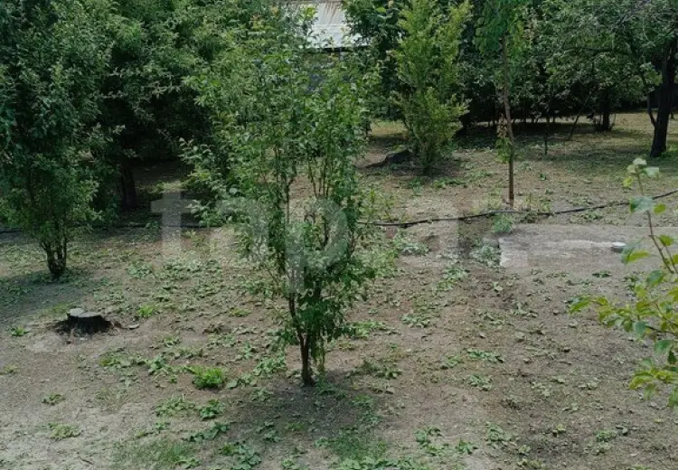 0 m² Obyekt / Ofis , Şəki