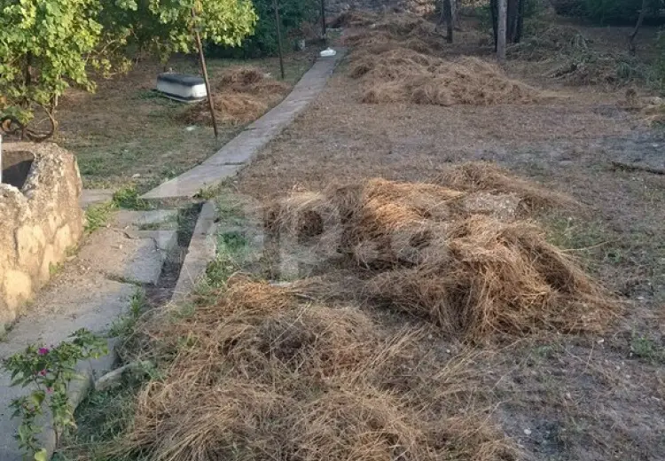 0 m² Obyekt / Ofis , Şəki