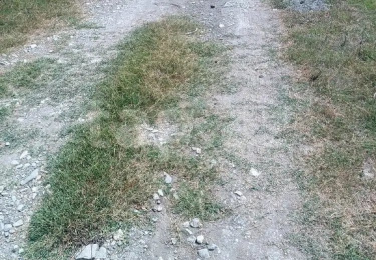 0 m² Obyekt / Ofis , Şəki