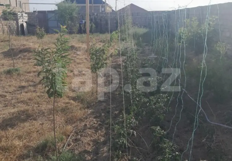 0 m² Obyekt / Ofis , Savalan qəs., Sabunçu, Bakı