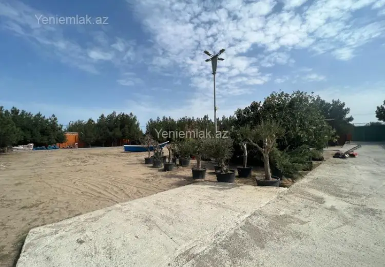 75 sot Torpaq Satılır, Nardaran qəs., Sabunçu, Bakı