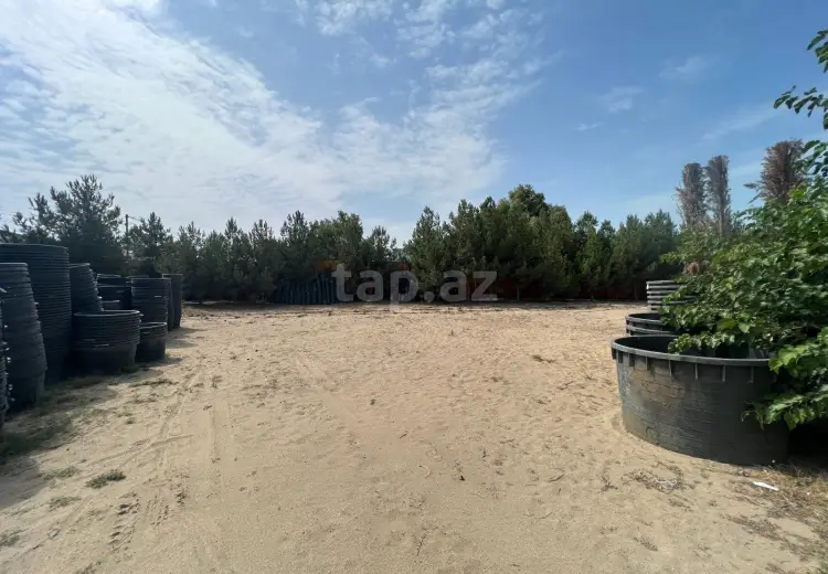 0 m² Obyekt / Ofis , Nardaran qəs., Sabunçu, Bakı