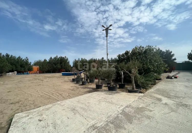 0 m² Obyekt / Ofis , Nardaran qəs., Sabunçu, Bakı