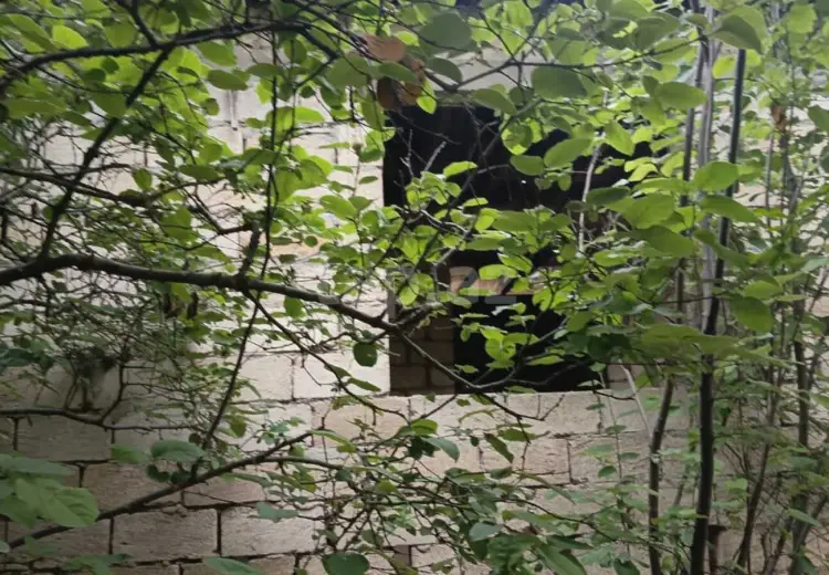 3 otaqlı mənzil , Neftçala