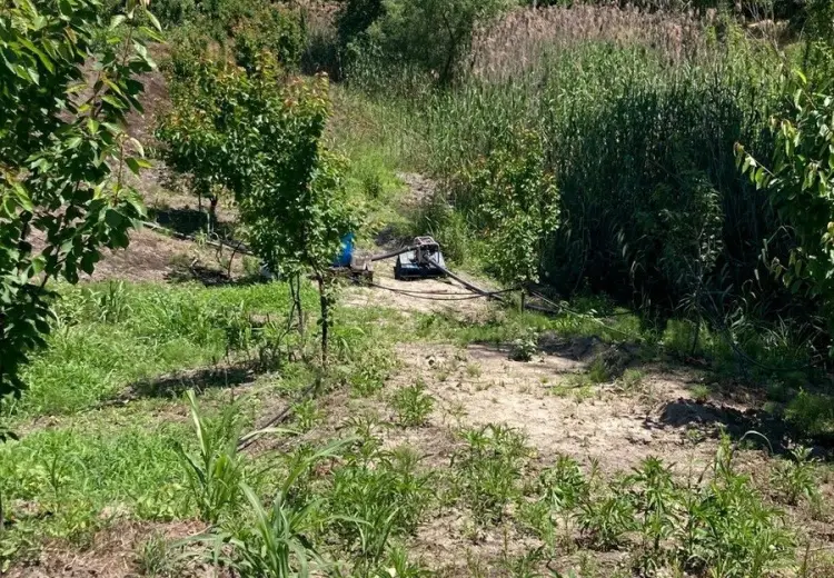 1.8 sot Torpaq Satılır, Xaçmaz
