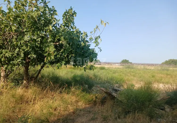 0 m² Obyekt / Ofis , Bilgəh qəs., Sabunçu, Bakı