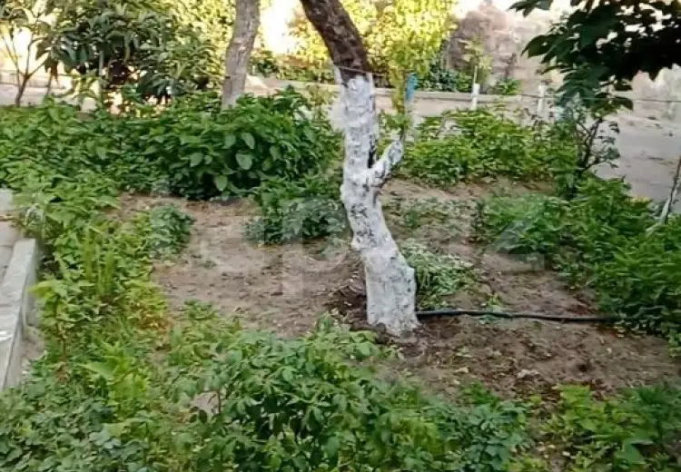 3 otaqlı mənzil , Bülbülə qəs., Suraxanı, Bakı