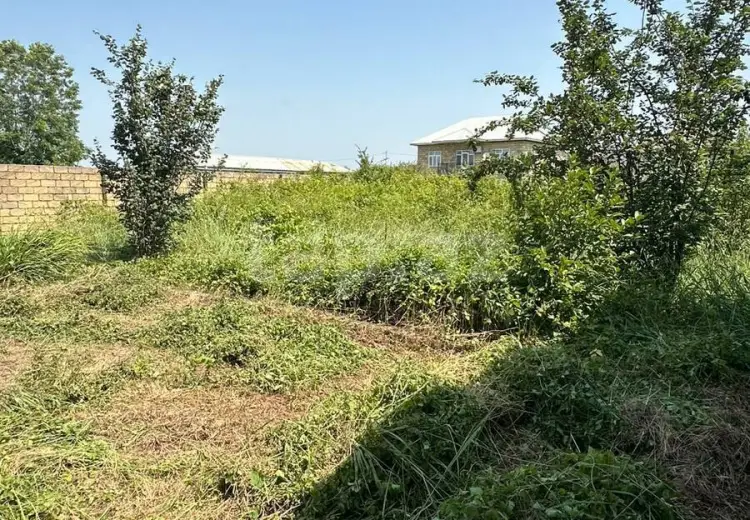 3 otaqlı mənzil , Lənkəran