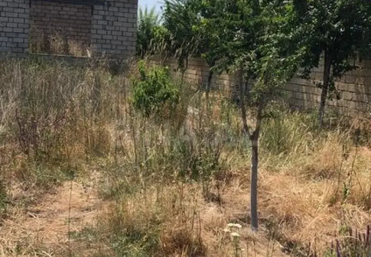 6 sot Torpaq Satılır, Nabran