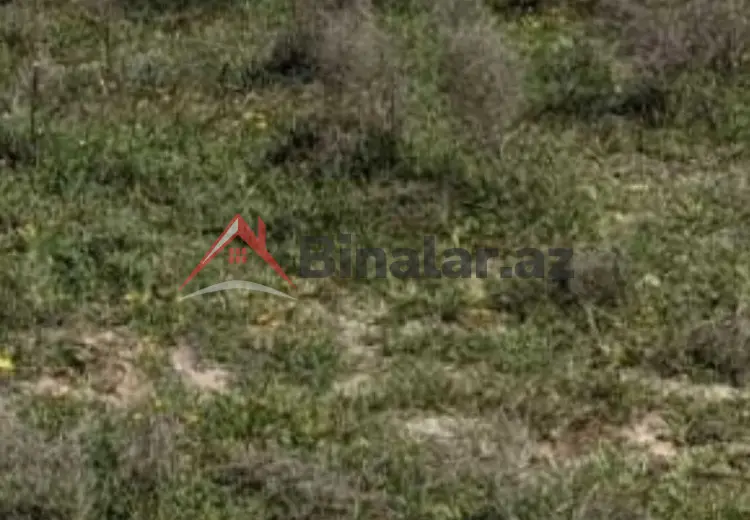 0 sot Torpaq Satılır, Novxanı, Abşeron