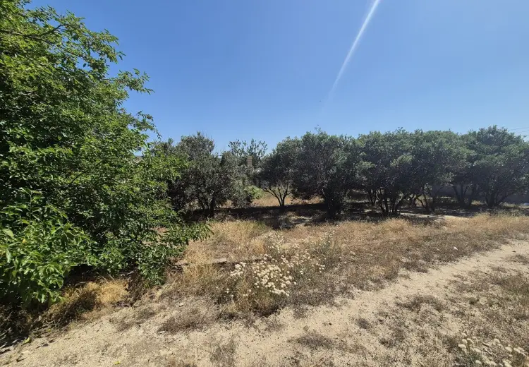 15 sot Torpaq Satılır, Bilgəh qəs., Sabunçu, Bakı