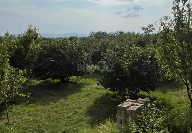 142 sot Torpaq Satılır, Qəbələ