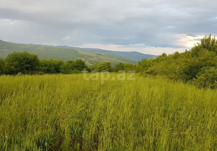 0 m² Obyekt / Ofis , İsmayıllı