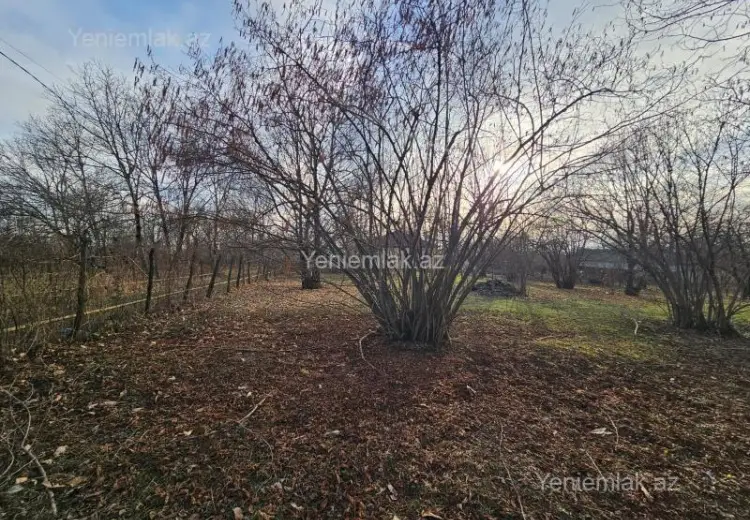 16 sot Torpaq Satılır, Qəbələ