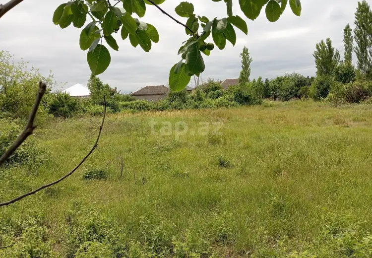 0 m² Obyekt / Ofis , Xaçmaz