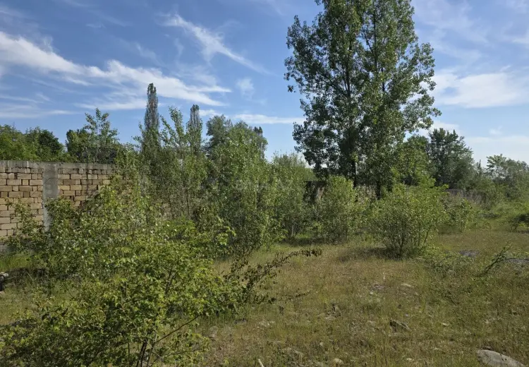 200 sot Torpaq Satılır, Qəbələ
